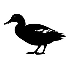 duck isolated on white silhouette vector