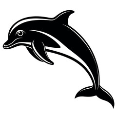 dolphin illustration vector