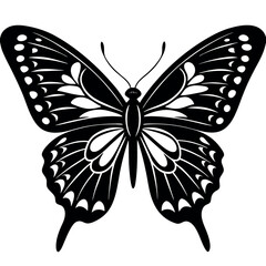 butterfly isolated on white background vector illustration