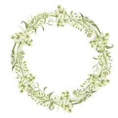 Wreath of field herbs and flowers. Fragrant, medicinal, wild herbs woven into a wreath. All elements are hand-drawn in watercolor and isolated from the background.