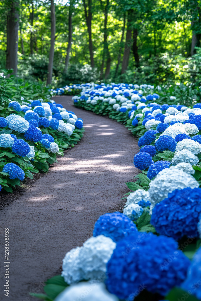 Poster a path lined with blooming hydrangeas in a botanical garden,
