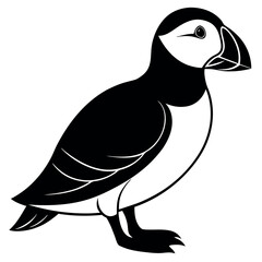 illustration of a bird vector