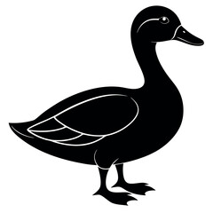 duck vector illustration
