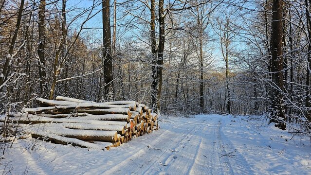 schneebedeckter Wald in Neunkirchen 
