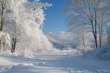 snow covered trees