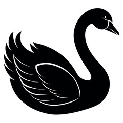 black swan on white background vector illustration
