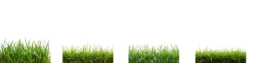 Fototapeta premium Set of Green grass border isolated on transparent background