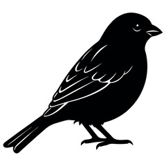 bird on a branch vector illustration