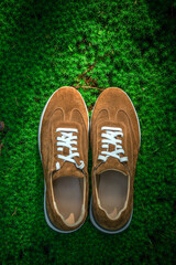 Suede sneakers in brown tones on a green moss in Sun Light. Stylish men's shoes.