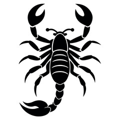scorpion silhouette vector illustration