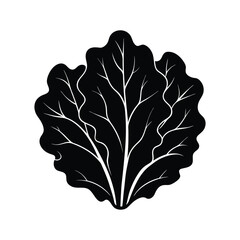 lettuce leaves vector illustration