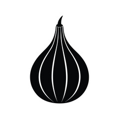 onion vector illustration