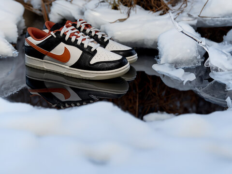 Nike Dunk Low Retro PRM in the snow with reflections