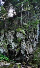Fototapeta premium nature, water, rock, stream, forest, river, tree, mountain, landscape, green, waterfall, stone, moss, rocks, canyon, trees, wood, beauty, mountains, woods, wilderness, wild, park, summer, travel