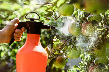 Spray Apple Trees with Apples Fruits to Prevent Pests Worms and Diseases. Spraying Apple Trees with...