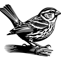 Naklejka premium Vibrant Canary Bird Silhouette Perched on a Branch, Detailed Vector Artwork, Isolated on White Background