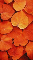 Autumn leaves in burnt orange and red tones nature close-up rustic environment macro texture details