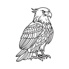Black and White silhouette Eagle Line Art with Intricate Feather Details and Powerful Close-Up Perspective