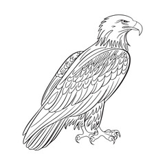 Black and White silhouette Eagle Line Art with Intricate Feather Details and Powerful Close-Up Perspective