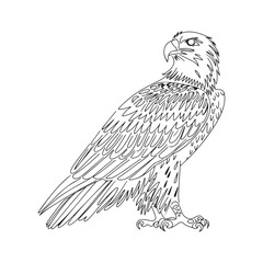 Black and White silhouette Eagle Line Art with Intricate Feather Details and Powerful Close-Up Perspective
