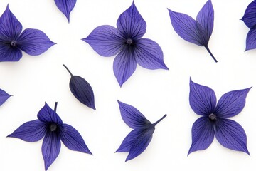 Purple flower petals arranged on white background