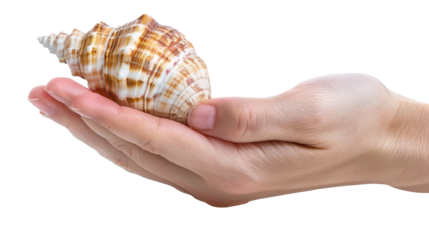 hand holding a seashell