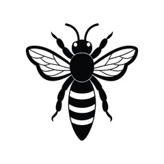 bee illustration