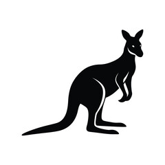 kangaroo illustration