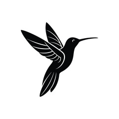 hummingbird in flight vector Illustration