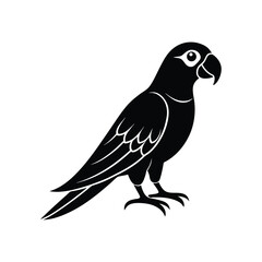 illustration of a bird