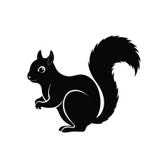 squirrel vector Illustration