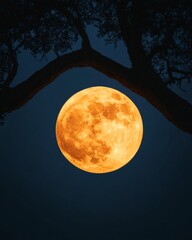 Fototapeta premium Mystical March Full Moon Rising Indigo Backdrop of Lunar Beauty - Event Decor and Spiritual Enlightenment for Eco-Friendly Spring Equinox Celebrations