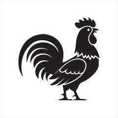 How to Identify Rooster Breeds by Their Appearance