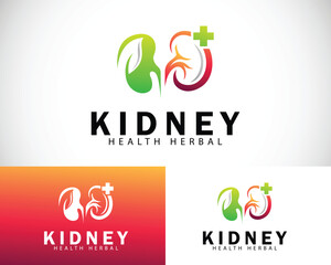 kidney logo creative design concept health herbal leave icon clinic medical plus