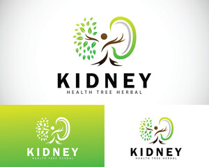 kidney logo creative design concept health herbal tree concept organs natural
