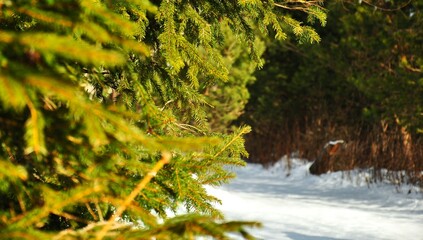 river, water, nature, stream, landscape, forest, trees, tree, autumn, lake, green, mountain, park,...