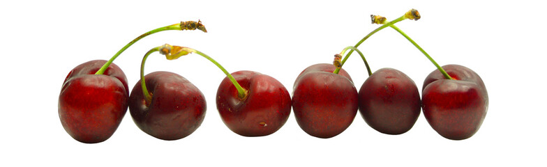 Cerezas en fila. Fondo transparente