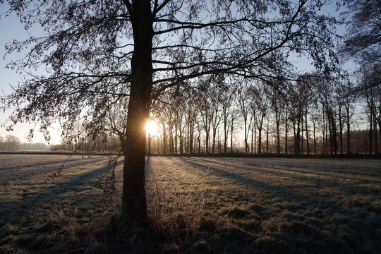 Eisige Landschaft im l&auml;ndlichen Gebiet am fr&uuml;hen Morgen