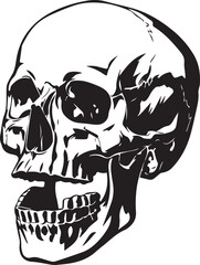 Human Skull Illustration silhouette black isolated on white background