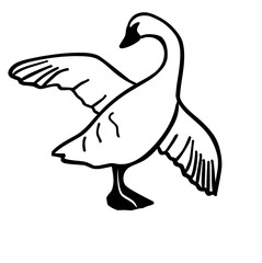 dove of peace