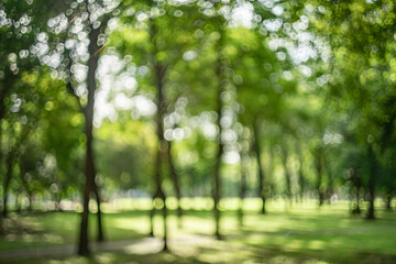 defocused bokeh background of garden trees