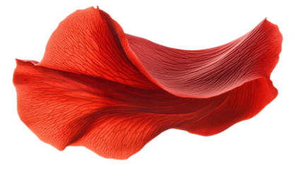 Red rose petal on transparent background