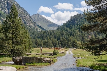 A woman with open arms enjoys the view on a summer hiking trail in Aig&uuml;estortes National Park, Pyrenees, Spain, surrounded by mountains, forest, and a river