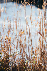 Bikepacking true Potsdam in Brandenburg