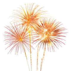 Colorful Explosion of Fireworks in Night Sky