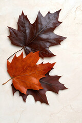 A flat lay of vibrant autumn leaves, showcasing rich browns and reds against a light marble background.