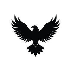 eagle illustration 