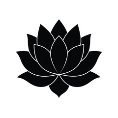 lotus flower vector