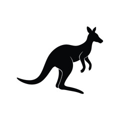 kangaroo illustration