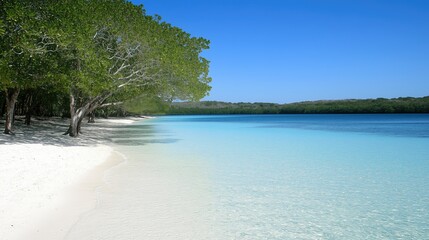 Secluded beach with soft white sand and clear blue water - generated AI